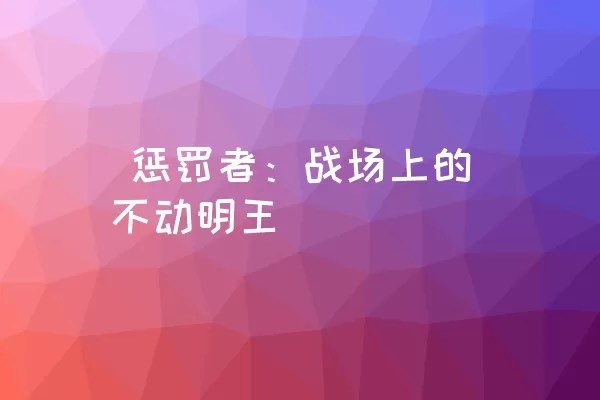  惩罚者：战场上的不动明王